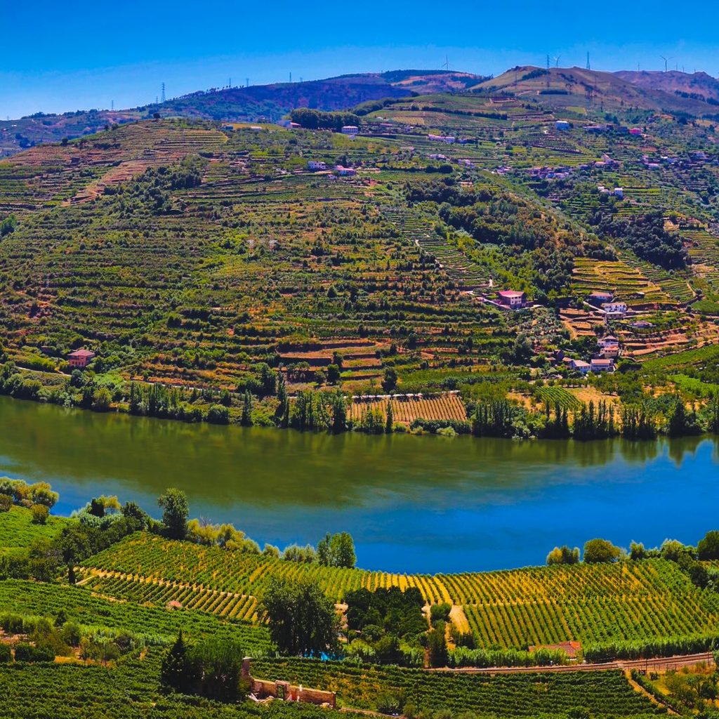 vistas das vinhas e do rio Douro de Mesão Frio, Portugal